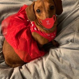 Meet your Posher, Andrea